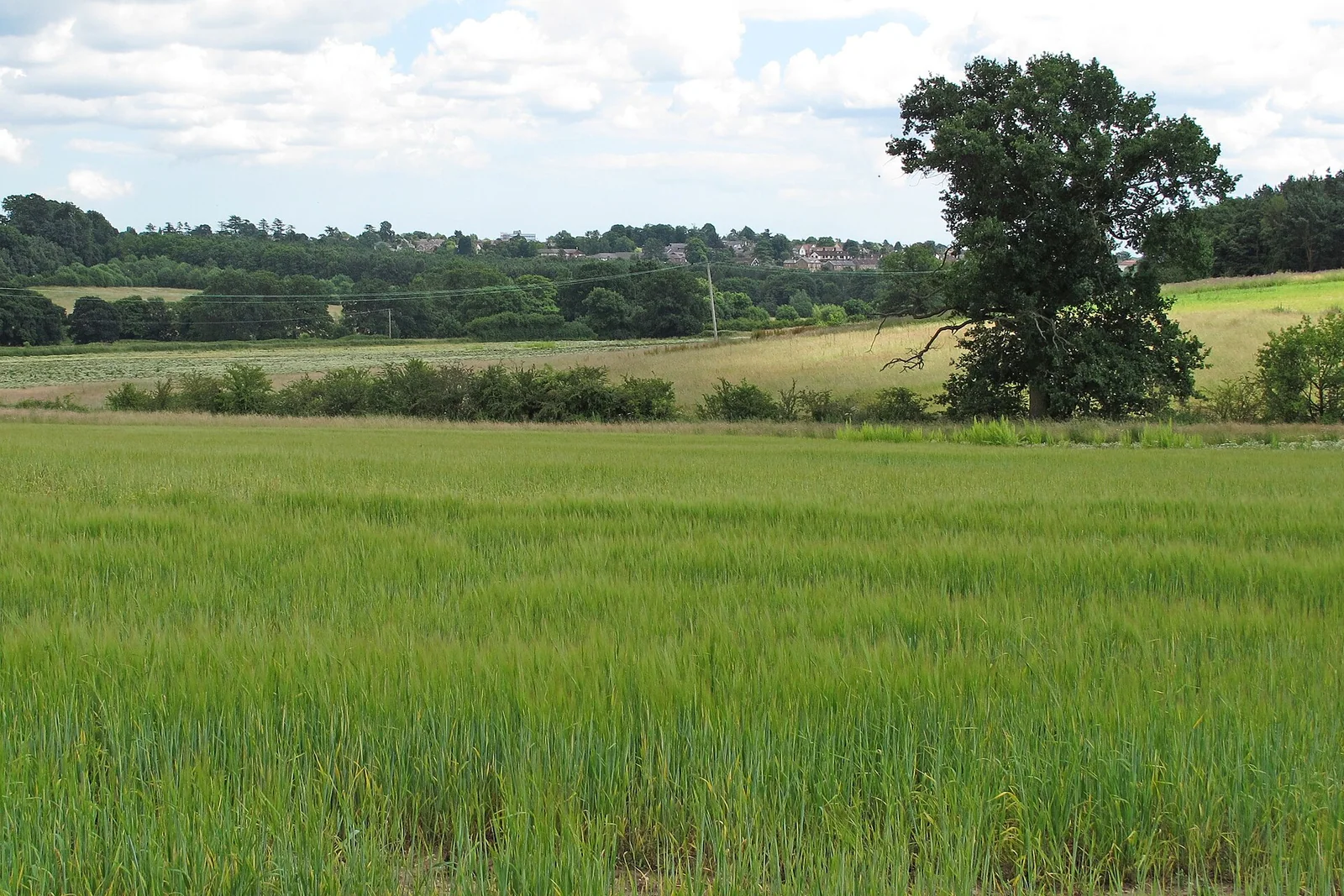 Landwirtschaftlicher Grund mit Feldweg und klarer Umgebung